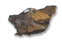 M 05745
<br/>
<br/>
<em></em>